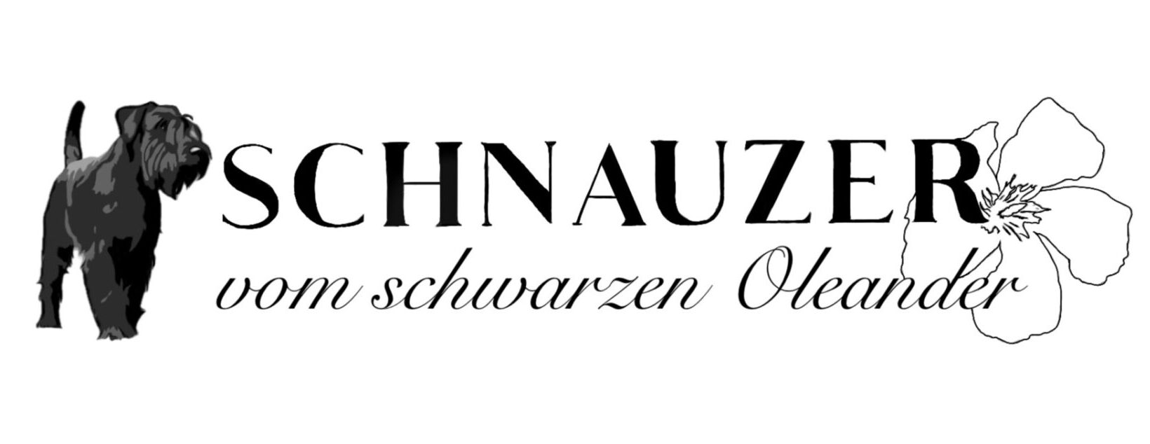 Schnauzer vom schwarzen Oleander Logo
